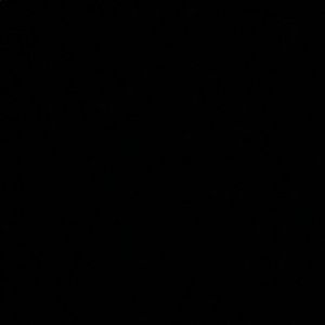 Meet your Posher, Bobby